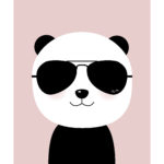 Panda Ray - med de klassiske Ray Ban solbriller :-)