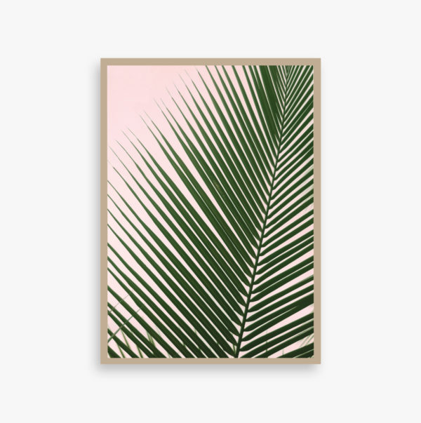 PALMPINK Plakat, palm, palme, art